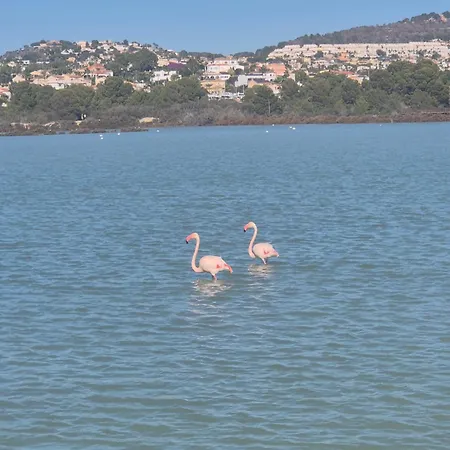 Apartament Esmeralda 111 B